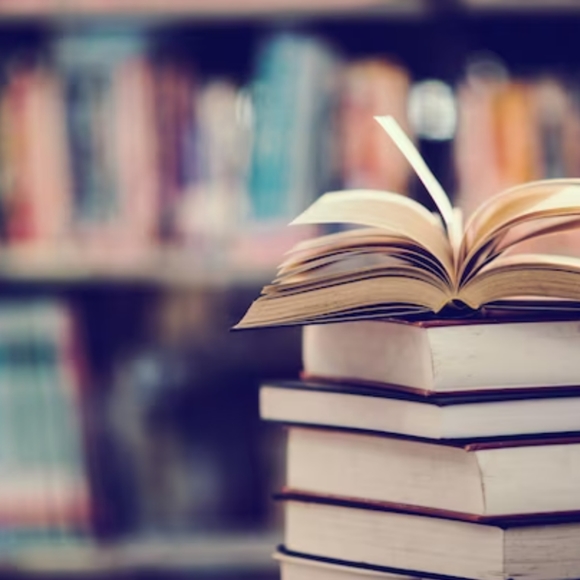 Books: Literature - Fiction, Memoirs, How-to, etc. - Picture 6 of 6